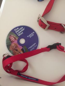 Medium size dog collars with Gentle Leader training DVD