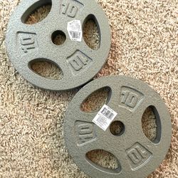 Two 10lb weight plates