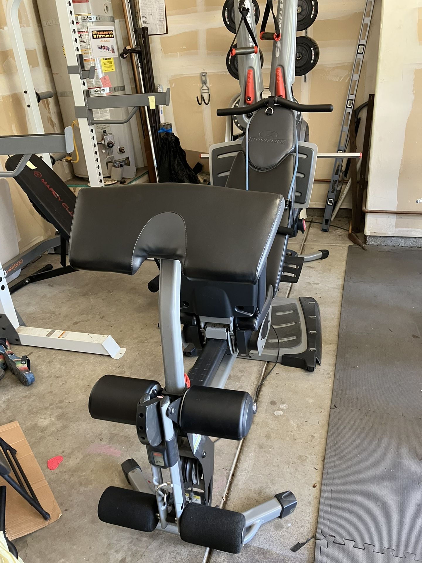 Bo Flex Revolution