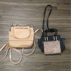 Back Pack &purse 