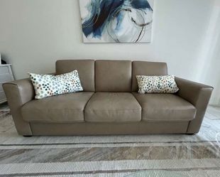 Sleeper Sofa