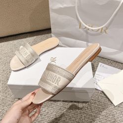 Dior letter webbing design flat cool slippers(off76)