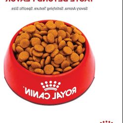 Royal Canin Canine Care Nutrition Medium Digestive Care Dry Dog Food, 30-lb bag