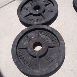 Two 25lb Olympic Weight Plates 