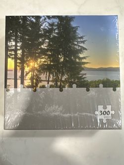 300 piece puzzle