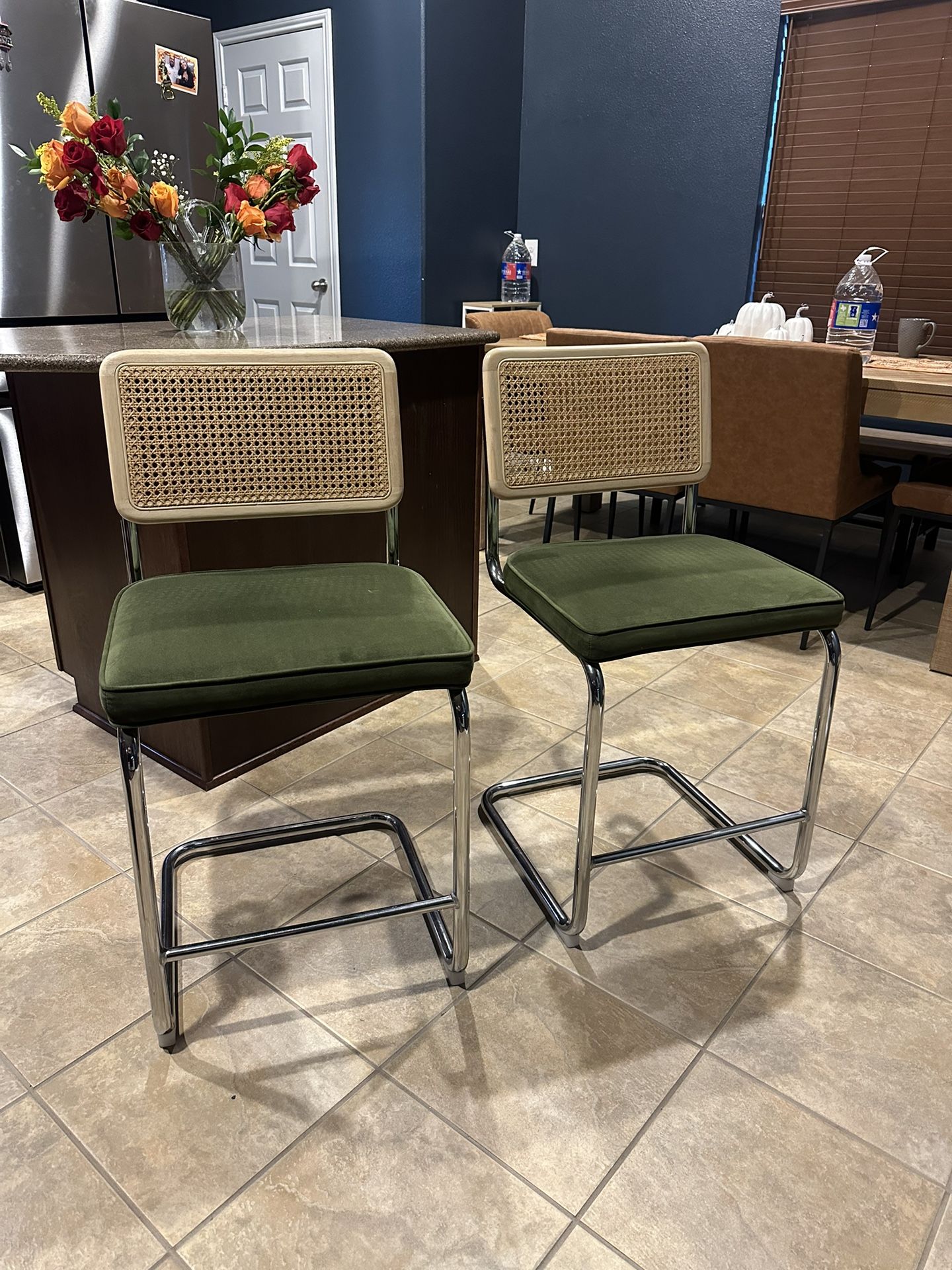 Counter Height Stools (2)