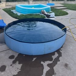 Dog Pool - XL