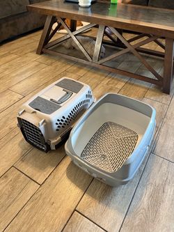 Complete Premium Kitten / Cat Care Starter Bundle