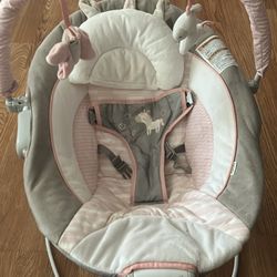 Baby Bouncer 