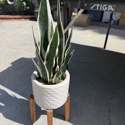 Fake Plant Decor