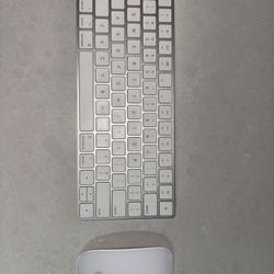 Apple Magic Keyboard & Magic Mouse - (USB-C)