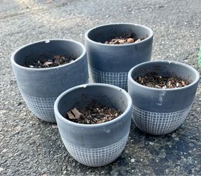 Various flower pots ceramic