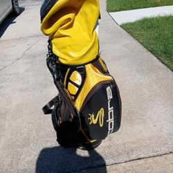 Cobra Staff Bag