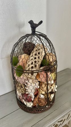 Cage With Shells