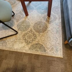 Area Rug  5feet x 7 feet 