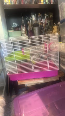Hamster cage