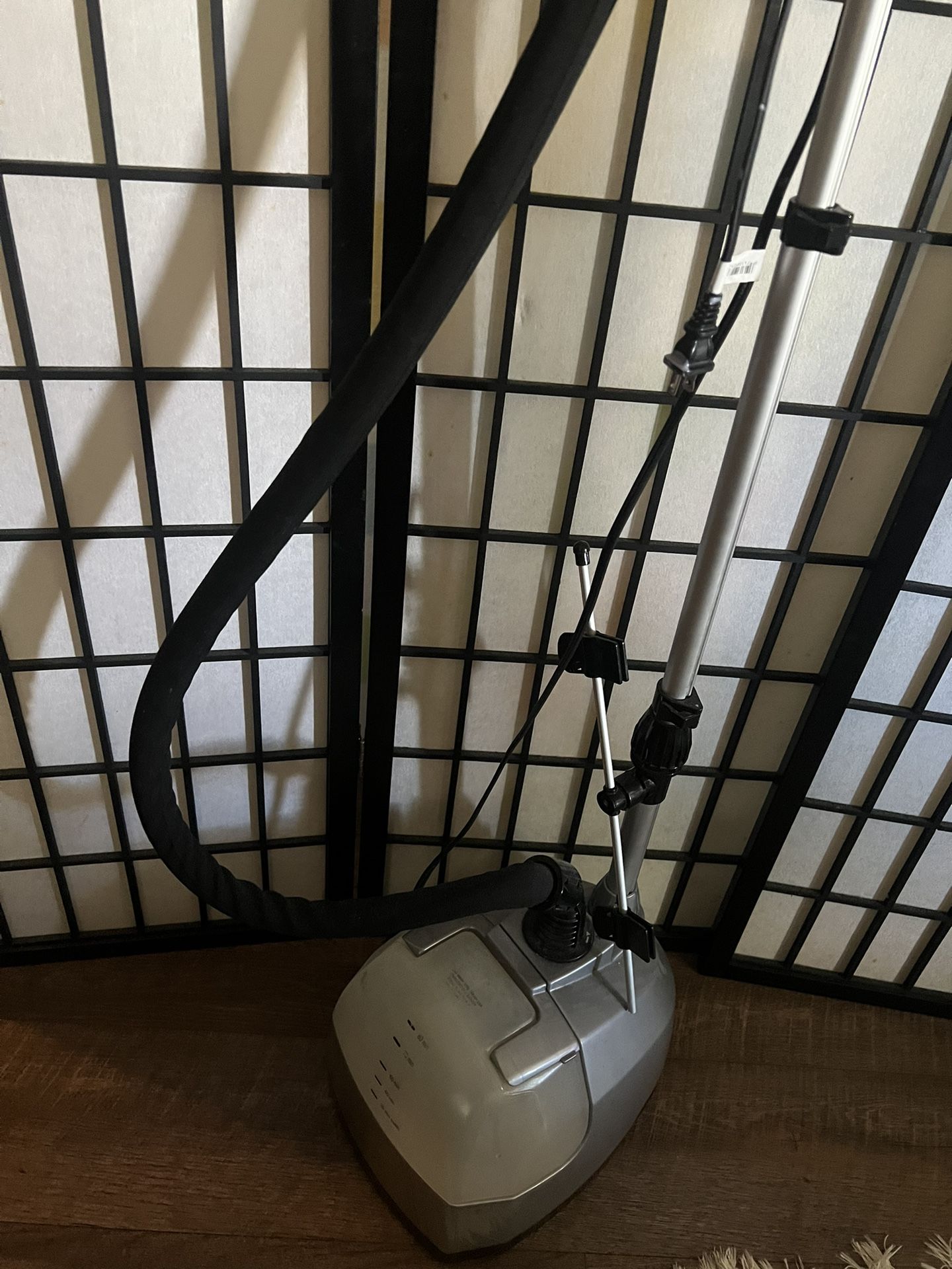 Iron Steamer For $20