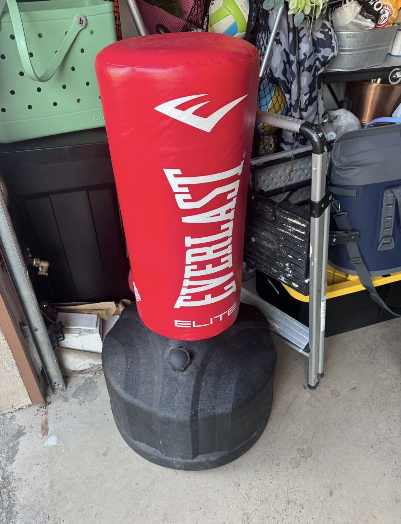 Everlast Punching Bag 