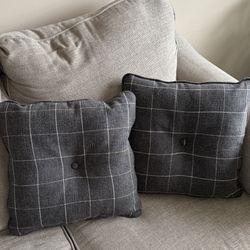 Brand New Throw Pillows (Set of 2)