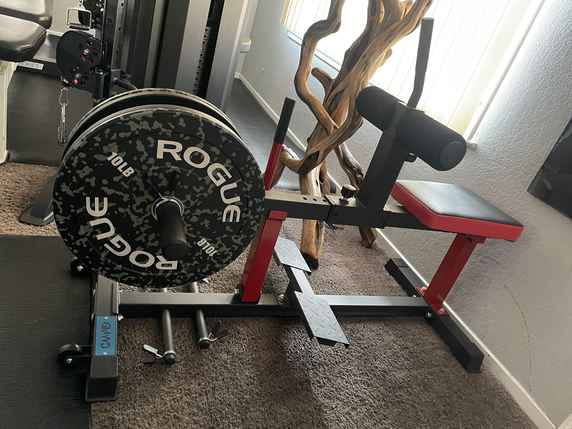 Seated Calf