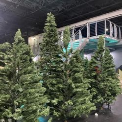 Christmas Tree Different Size