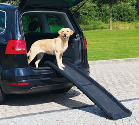 Trixi Dog Ramp