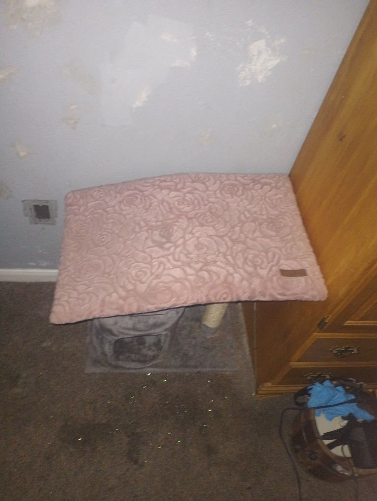 Pet Bed