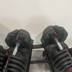 Bowflex 1090 Dumbbells 