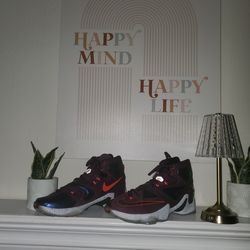 Nike Lebrons 13s Mulberry