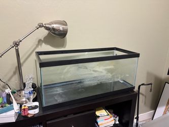 20 gal Glass Aquarium Tank with Black Frame
