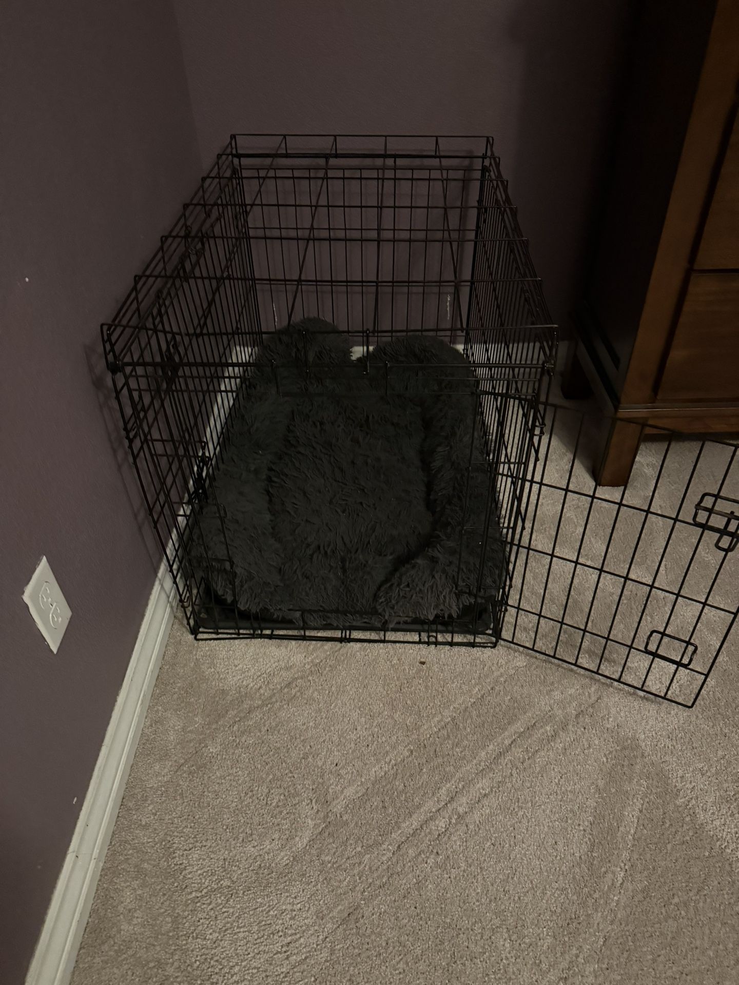 Dog Crate And Pillow