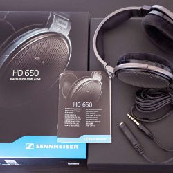 Sennheiser HD650 Open Ear Audiophile Headphones