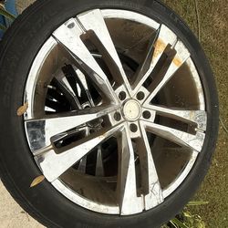 𝟚𝟚" ℝ𝕀𝕄𝕊