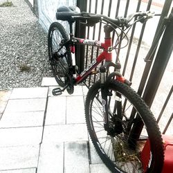 29” Mountain Bike. SALE IS PENDING