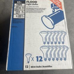 Sylvania Flood Light Bulbs 