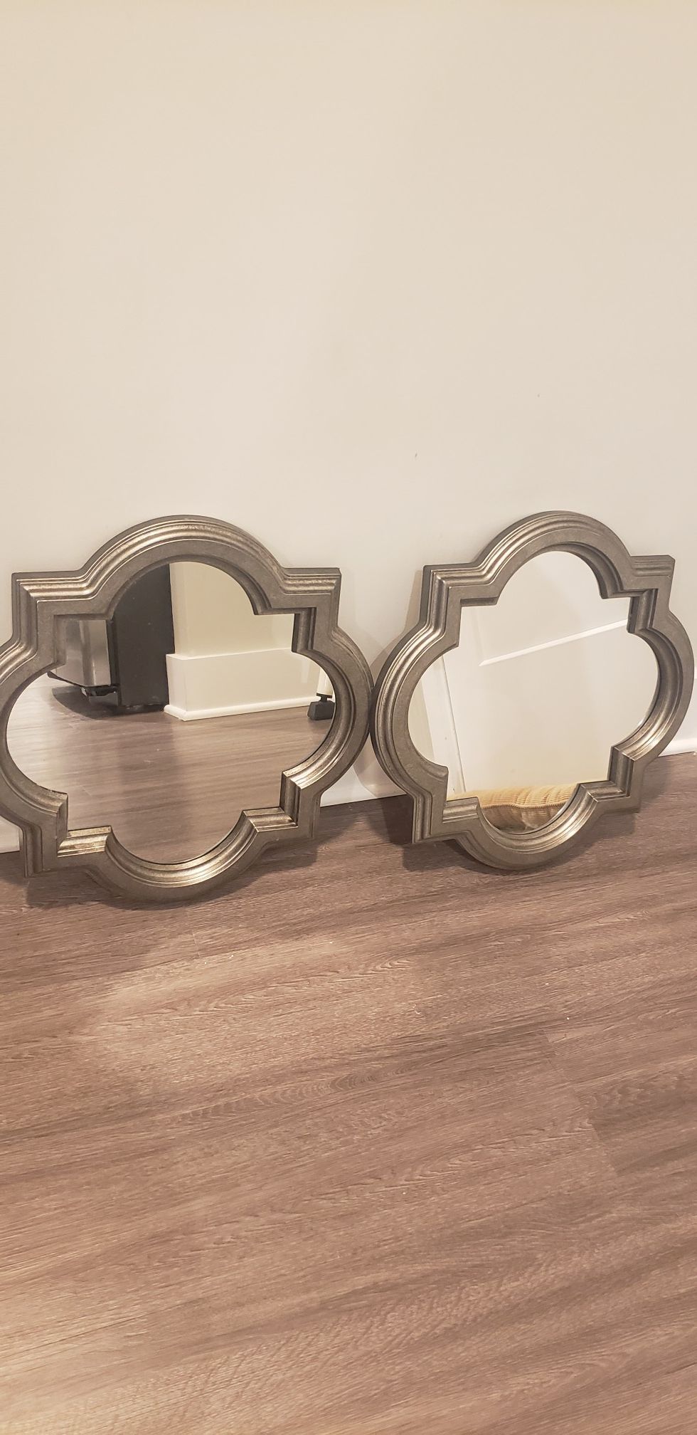 2 mirrors for $25