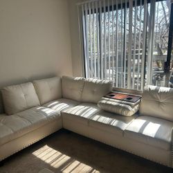 Couch/Sofa 