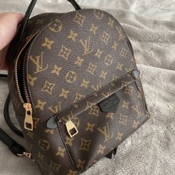 Louis Vuitton Palm Springs Mini Backpack