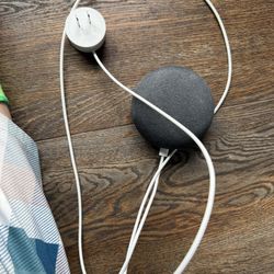 Google Home Mini