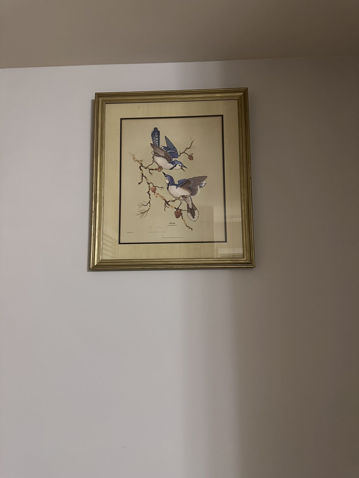 Artist Signed Hand Painted Bird Painting 