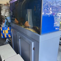 130 gallon fish tank