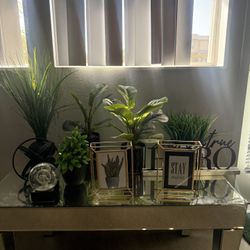 Living Room Plant Decor All For $10