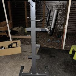 Ironmaster Organizer And Dip Bar