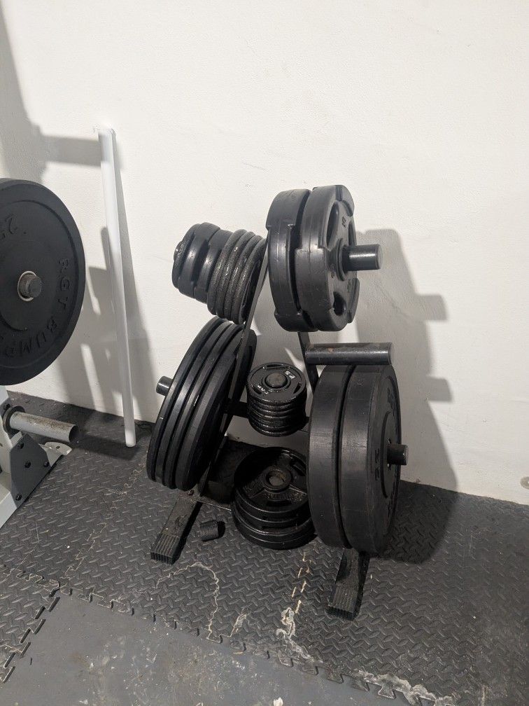 Bench Set And Weights