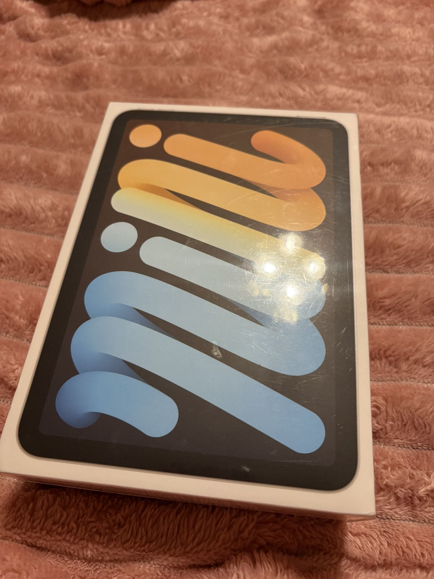 iPad Mini 6th Gen (WiFi)