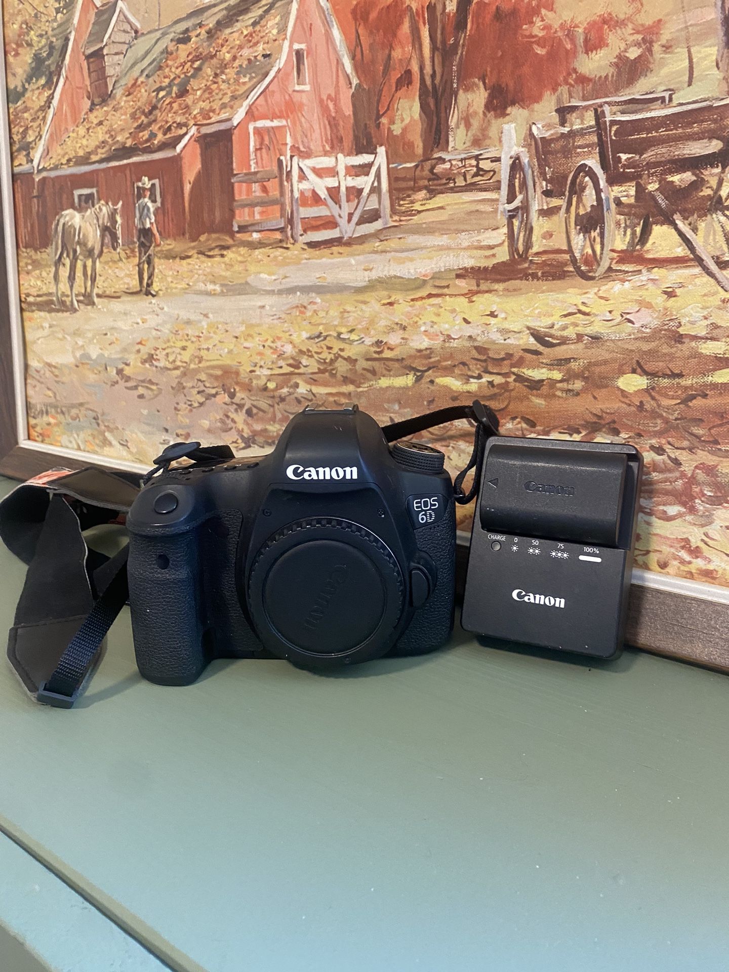 Canon 6D