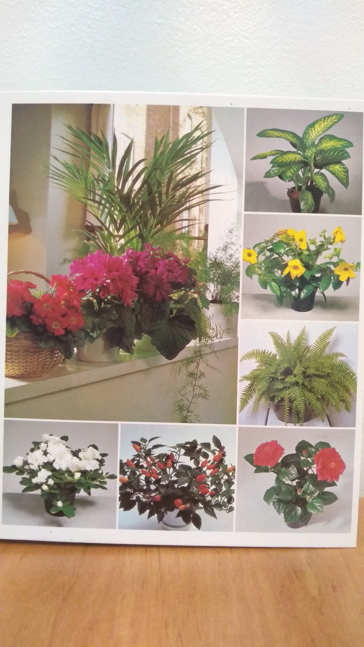 House Plants Book Binder