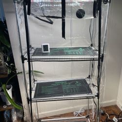 Plant Indoor Grow Tent