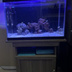 20 Gallon Saltwater Tank And Stand