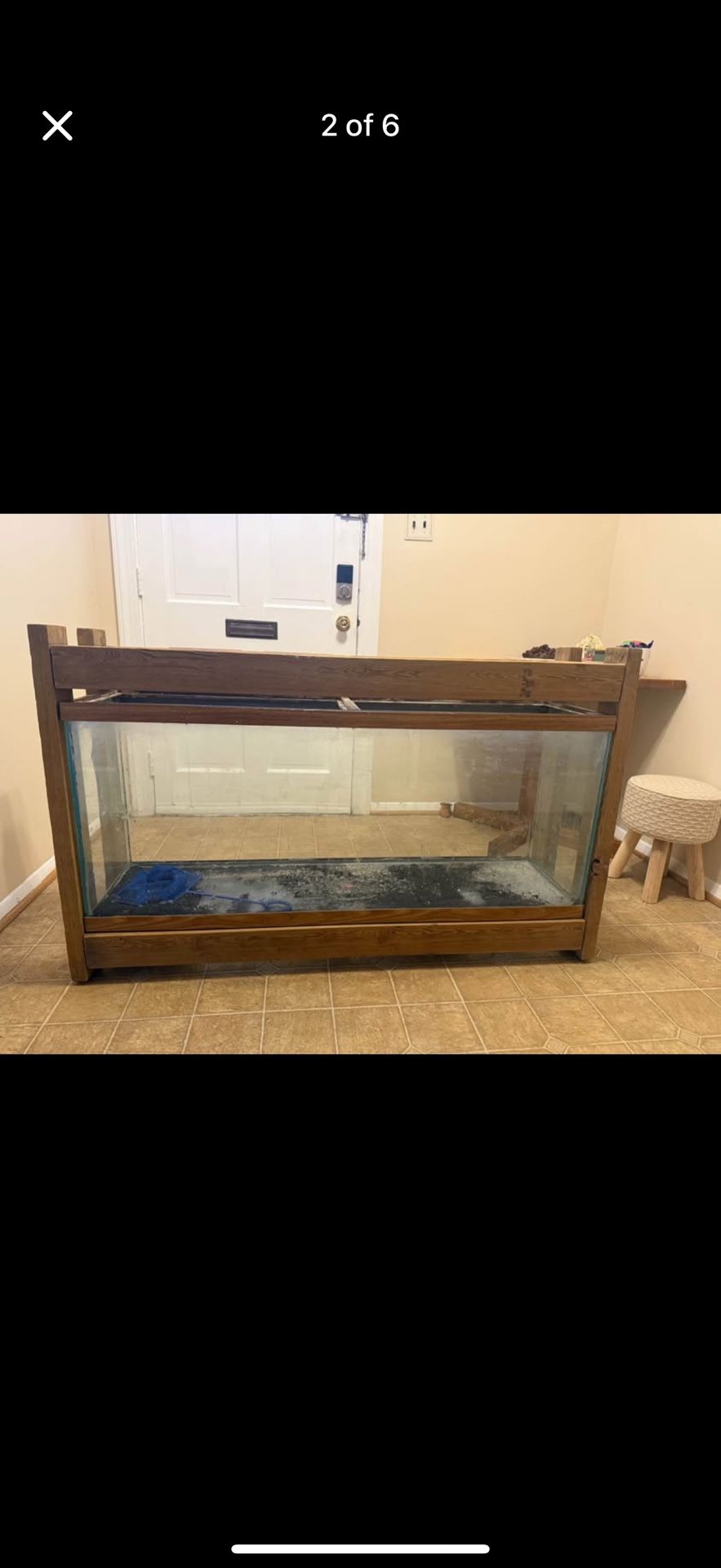 55 Gallon Aquarium Setup